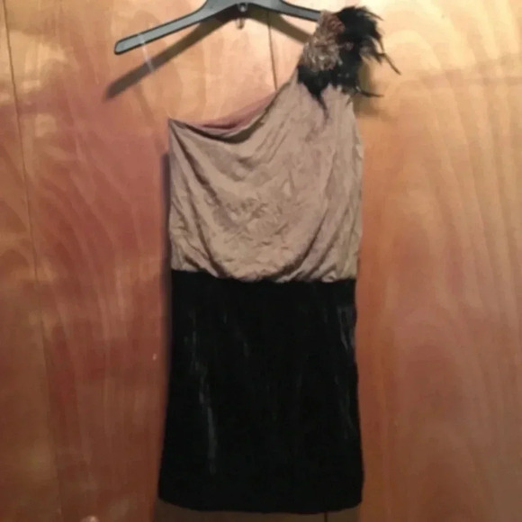 🍉‎ Dress Wit Feather Accent - Picture 1 of 2